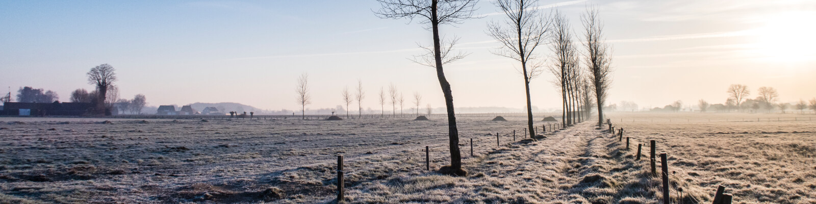 Slider homepage foto 5