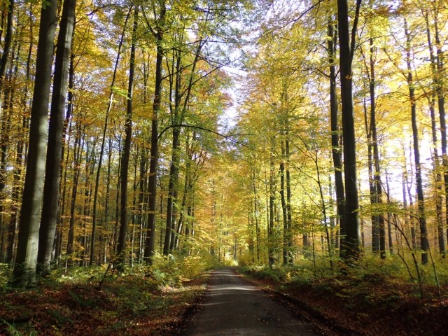 Guldensporentocht